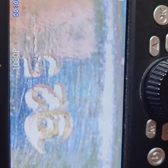 White Sapphire - Picture 7 of 8